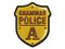Grammar Police Badge Multi-Color Embroidered Iron-On or Hook & Loop Patch Applique
